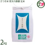 令和7年産 さつき米 青