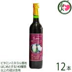 島のに100%ジュース 500ml×12本 渡具知 沖縄 人気 土産 飲料 ハーブの女王・ノニ果汁100% 沖縄土産にも最適なノニジュース ビタミン・ミネラル