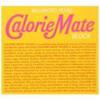 カロリーメイト ブロック メープル味４入×10