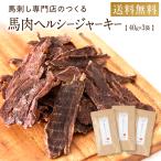 犬 アレルギー おやつ 無添加 国産 馬肉 ヘルシー ジャーキー (40g×3袋) 馬肉100% シニア 熊本 馬刺し 公式 低カロリー 送料無料