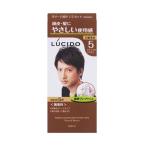 ルシード ワンプッシュケアカラー ナチュラルブラウン LUCIDO (医薬部外品)