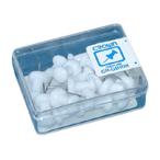 画鋲 [CR-GB108-W] 16本 ダルマ画鋲 本体色：白