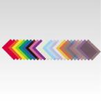 ���顼����䡼�ۥ���� [F-78-11] 1�� ���ο����� A4Ƚ/��220�߽�310mm