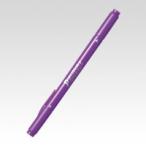 �ץ쥤���顼�� [WS-TP-19] 1�� �ʣ����������������������� ���󥯿������ߤ쿧