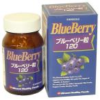ブルーベリー粒120ミナミヘルシー...