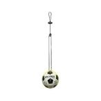 モルテン（Molten） 練習用品 サッカーパル レモン