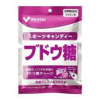 【ゆうパケット配送対象】Kentai ケンタイ スポーツキャンディー ブドウ糖 グレープ果汁 76g x1個(個包装込み)(ビタミンB1 トレーニング 筋トレ ジム ウェイト