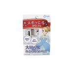 【あわせ買い2999円以上で送料無料】ハッシュ スポッとる 3包セット プリンセス 染み抜き剤 トライアルセット