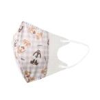 【あわせ買い2999円以上で送料無料】スケーター 不織布 立体マスク 子供用 10枚入 チップ&デール MSKS3 ※画像はイメージです