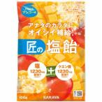 【あわせ買い2999円以上で送料無料】サラヤ 匠の塩飴 マンゴー味 100g