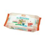 (あわせ買い2999円以上で送料無料)ペーパーテック 介護用 大人用 からだ拭き 50枚入