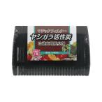 (あわせ買い2999円以上で送料無料)ライオンケミカル マジックフィルター ヤシガラ活性炭 冷蔵庫用脱臭剤