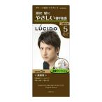 (送料無料・まとめ買い4個セット)マンダム ルシード ワンプッシュケアカラー ナチュラルブラウン ( 医薬部外品 ) (1コ)