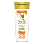 [ бесплатная доставка * массовая закупка ×4 шт. комплект ] лев Quick &amp; Ricci уход in шампунь love кошка для non аромат без ароматизации 200ml