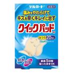 [ бесплатная доставка * массовая закупка ×8 шт. комплект ].. производства лекарство te Люгер do Quick накладка ... лейкопластырь 20 листов входит 