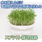 スプラウト専用栽培容器 おうちでベジ ホワイト かいわれ栽培タイプ 超！お得クーポン対象【中型メール便 1個300円 2個以上は料金確認 】