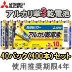 お得な40パックセット(400本/1ケース) 即配 三菱 アルカリ電池 単3電池x10本 LR6N/10S おもちゃ用や防災・備蓄にも ポイント利用 使用推奨期限4年