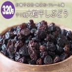 チリ産 大粒干し葡萄 ほしぶどう 400