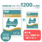 【クーポン配布中】グルコサミン 関節痛 膝 腰痛 コラーゲン サプリ 渡邊薬品 サプリメント 軟骨 きときとげんき 1か月分 30粒 国産