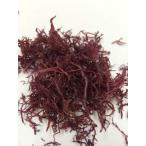 fu клей ( Kyushu небо . производство )