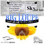 メガネ式拡大ルーペ