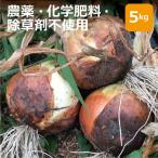 [ Osaka (столичный округ) . поверхность производство ] пестициды * химия удобрение * убийца сорняков не использование шар лук порей 5kg * бесплатная доставка ( часть регион за исключением )