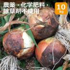 [ Osaka (столичный округ) Ibaraki производство ] пестициды * химия удобрение * убийца сорняков не использование шар лук порей 10kg * бесплатная доставка ( часть регион за исключением )[ здоровье поддержка сельское хозяйство .] круговорот сельское хозяйство закон животноводство компост не использование 