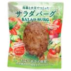 サラダバーグ （90g） 