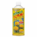 .. цветок самый высота o дождь кислота ( круг жестяная банка ) (600g) [.. фирма ]