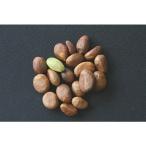 【通年クール便】枇杷（びわ）の種 冷凍1kg 長崎・千葉県産  ※通年クール便発送（別途1850円+配送料） ※同梱・キャンセル不可