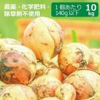  пестициды * химия удобрение * убийца сорняков не использование шар лук порей 10kg * шар лук порей. размер. 1 шт на 140g и меньше * бесплатная доставка ( часть регион за исключением )[ здоровье поддержка сельское хозяйство .]