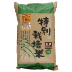 特別栽培米・新篠津あやひめ 玄米（5kg）【ムソー】