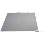 最安！電気ホットカーペット2畳タイプ（本体のみ）ZCB-20P【電磁波99％カット ゼンケン】※キャンセル不可