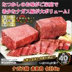 鯨 刺身 赤身 胸肉「ナガス鯨 赤身肉 合計４kg」