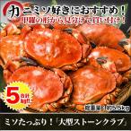 かに カニ 蟹　ミソたっぷり！「大型ボイルストーンクラブ（オス）」　5ｋｇ　(総重量：約5.5kg)