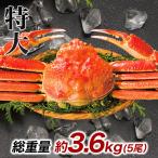 ショッピングズワイガニ 3.6kg 5尾 かに カニ 蟹 ズワイガニ ズワイガニ姿 カニ姿 ズワイガニ味噌 ボイルズワイ ずわい蟹 特大ボイルズワイガニ姿まるごと 快適生活 カニ鍋