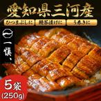 u.. угорь местного производства земля для .. день подарок внутри праздник . день рождения подарок высококлассный рефрижератор удобный жизнь выгода для угорь сломан .. [ Mikawa производство ... угорь ]5 пакет . покупка 