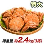 2.4kg かに カニ 蟹 毛ガニ 毛がに 毛蟹 けがに かに味噌 蟹みそ 味噌 ボイル 蒸し 特大毛ガニ姿 快適生活 カニ味噌
