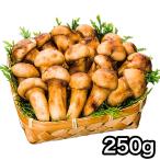  matsutake .... натуральный удобный жизнь натуральный высококлассный сосна ....250g... глиняный чайник .. сосна . рис осень японская кухня 