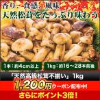  matsutake .... натуральный удобный жизнь натуральный высококлассный сосна . не комплект 1kg глиняный чайник .. сосна . рис осень японская кухня 