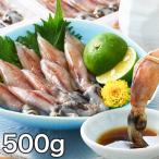  ho ta Louis ka сырой sashimi рефрижератор Япония море производство [. sashimi сырой ho ta Louis ka] 500g 2026 отчетный год ..... Echizen производство местного производства нынешний вода ... Echizen удобный жизнь . покупка 