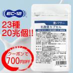 乳酸菌 サプリ 20兆個 23種の乳酸菌 + 酵素 菌パワー EC-12 プロバイオティクス サプリメント yfs