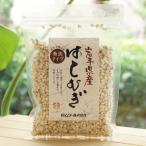  Iwate префектура производство. ...150gmso-