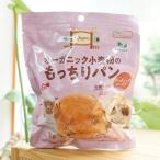 オーガニック小麦粉のもっちりパン(オーガニックレーズン)/1個 ノースカラーズ  +PLUS Organic