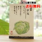  фиксация вид lettuce ( блокировка well ) примерно 120 шарик натуральный жизнь стойка местного производства почтовая доставка когда, бесплатная доставка 
