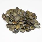  иметь машина тыква. вид 25kga Lisa nOrganic Pumpkin Seeds