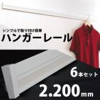 ショッピングPSハンガー ハンガーレール（長押・なげし）2200mm×55mm×16mm【白】6本セット入《送料無料》002839