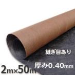 訳あり ワケあり わけあり 数量限定 プランテックス（ザバーン）防草シート（２ｍ×５０ｍ）１２５ブラック＆ブラウン シート本体