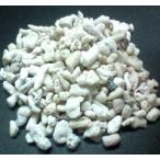  специальная цена! натуральный коралл песок #10( примерно 10mm передний и задний (до и после) )|5kg[ ограниченное количество ]