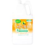 ショッピング緑の魔女 ミマスクリーンケア 緑の魔女 泡タイプ バス 詰替用 2L